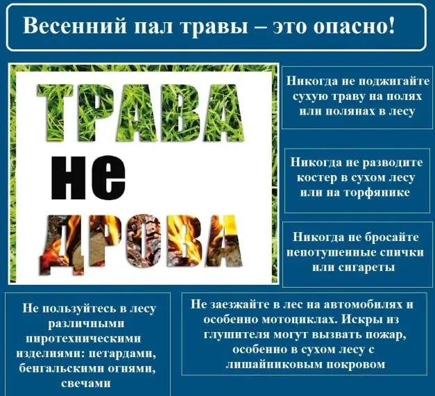 B0EF4CF3 855D 4F91 A501 26CCA1D91646