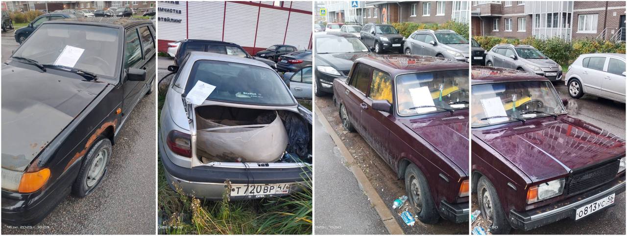 photo 2025 11 10 16 11 37